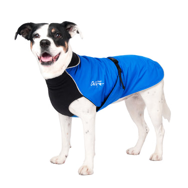 Alpine Blazer Royal Blue - LAST CHANCE!